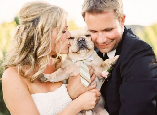 sposi baciano il loro cane